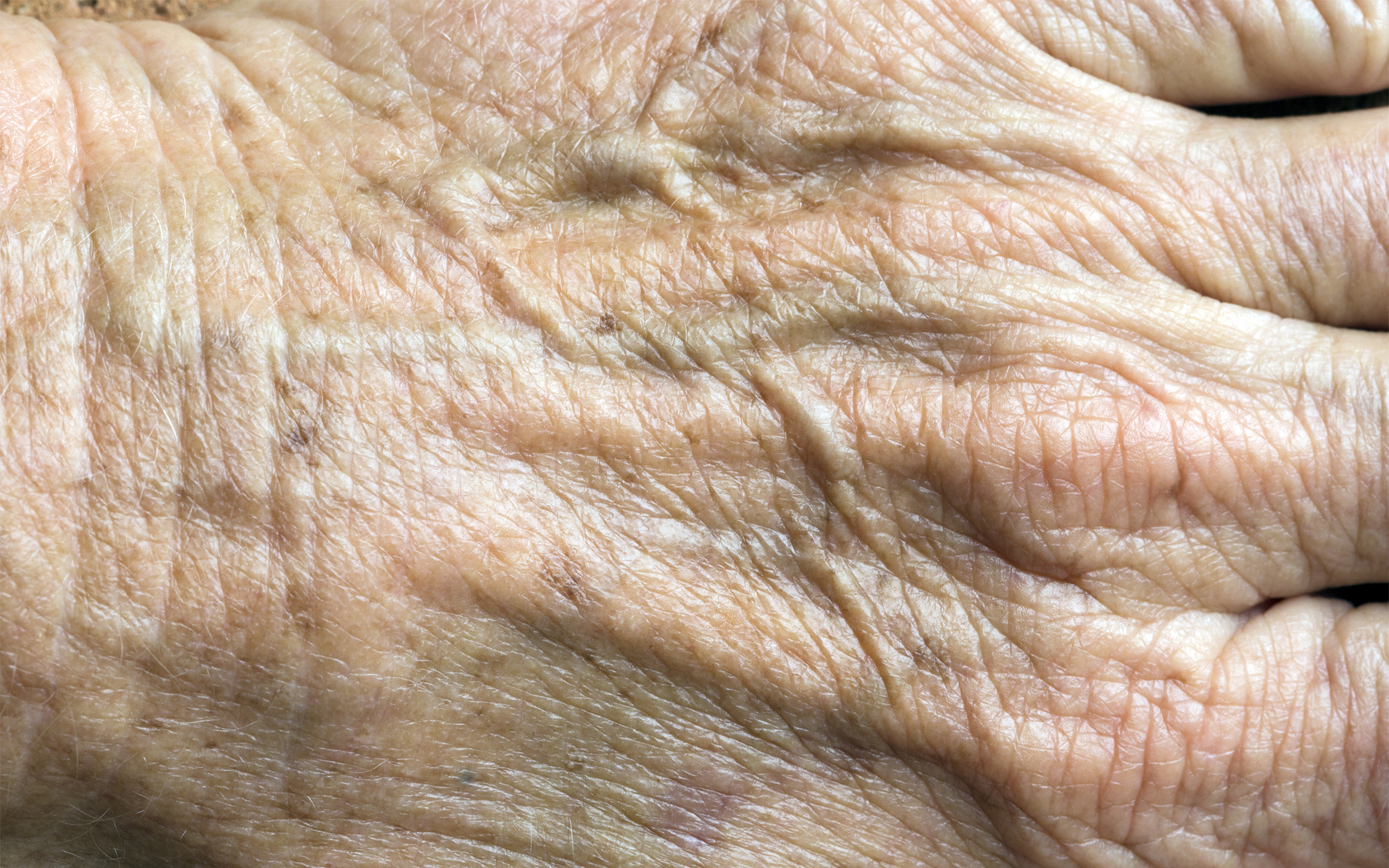 Factsheet Ouderenzorg